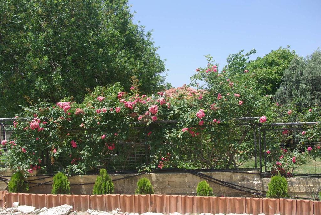 Yiannis Apartments Rhodes City 외부 사진